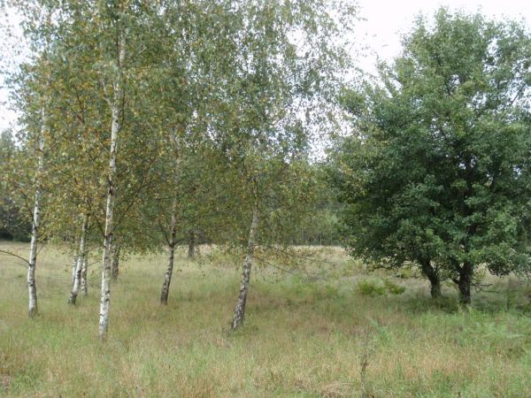 zdjecie Piłatowszczyzna