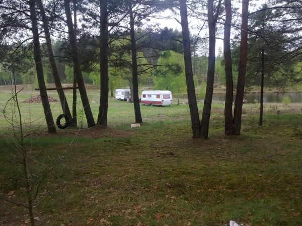 "Wieczorne Mgły"  u Wioli