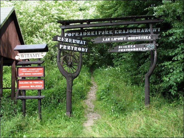 Rezerwat "Las lipowy Obrożyska" o powierzchni ok. 100 ha jest największym naturalnym skupiskiem lipy drobnolistnej w Europie.