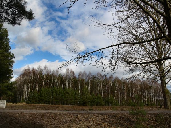 zdjecie Tyniewicze Duże