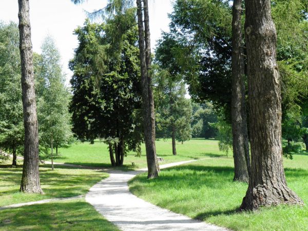 Zamek - Muzeum w Łańcucie. Park - fragment