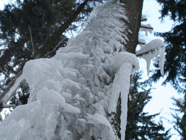 Fot. Ewa Kamila Jabłońska