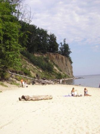 Klif. Gdynia Orłowo.