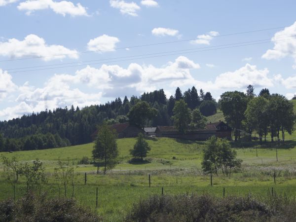 to tez Stańczyki :)