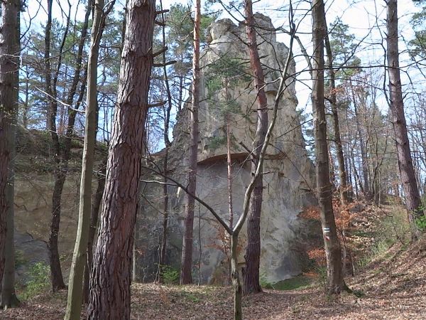 w 1937r. kamień został uznany za obiekt podlegający ochronie, wcześniej był tu kamieniołom i skała została podcięta a w 1933r. wydano zakaz dobywania kamienia i