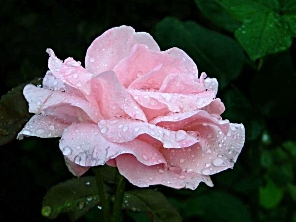 a to też już historia