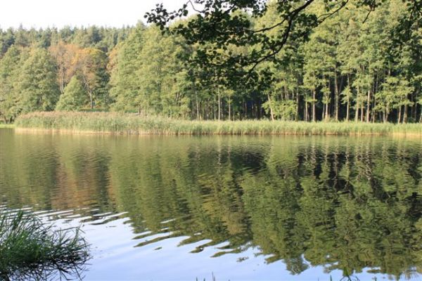 J. Trzesiecko / Szczecinek