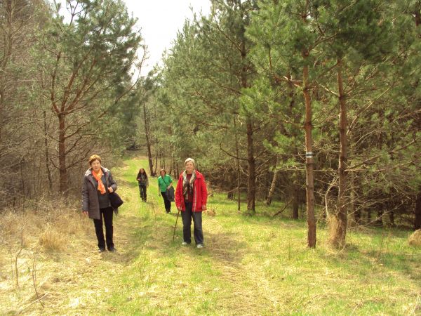 ścieżki myśliwskie, przesieki, dukty leśne - przeważnie dobrze utrzymane, bywa że mogą zmylić turystę - prowadząc na rozmaite bezdroża lub polany - toteż my dal