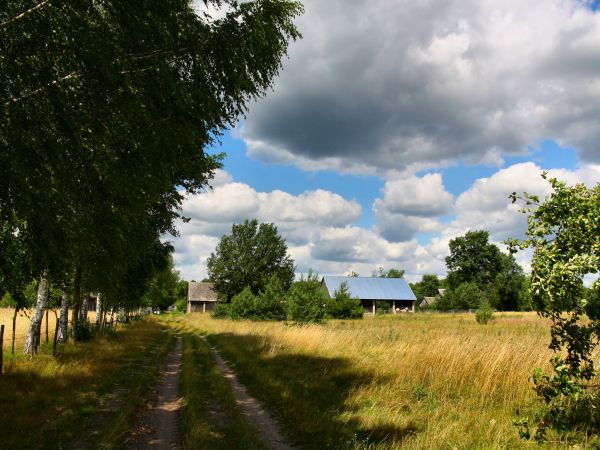 zdjecie Tyniewicze Duże