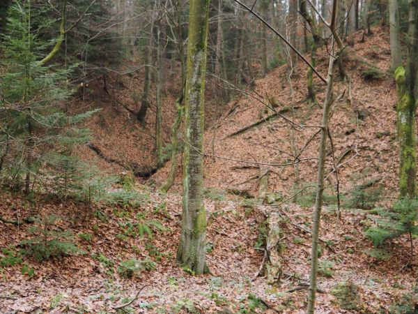 z siodła Pasma Granickiej spływa Potok Olchowski - rzeźba terenu wyjątkowo zróżnicowana - labirynt wąwozów, dolin, potoków, stromych zboczy porosłych lasem. War