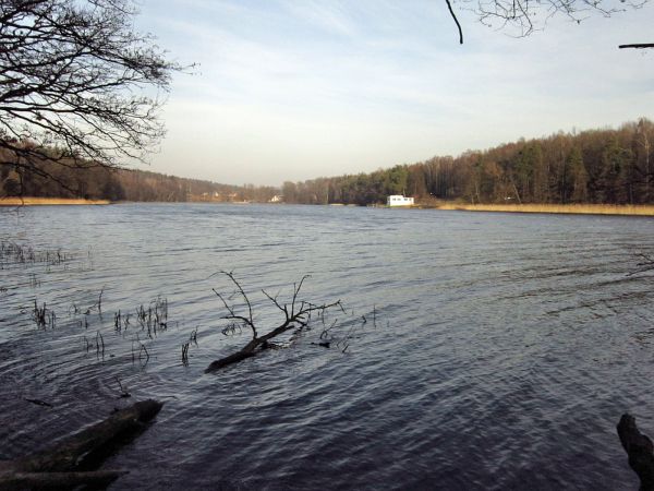Jezioro Dejnowa w Świętej Lipce.2011-12-12