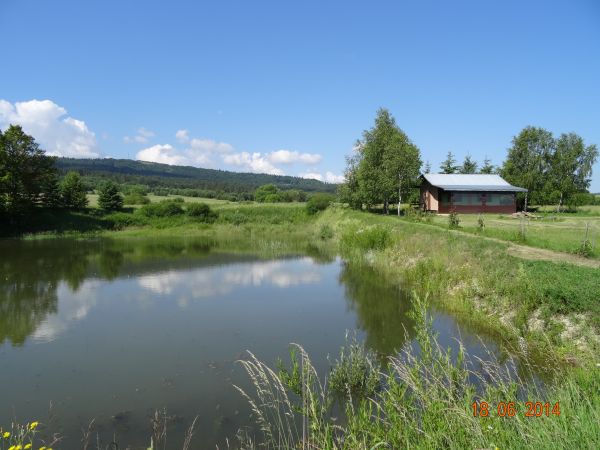 stawy - zarybione, własność prywatna.