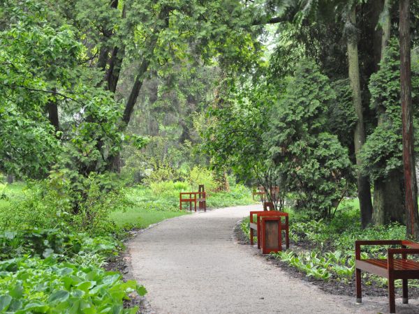 Żelazowa Wola, Park.