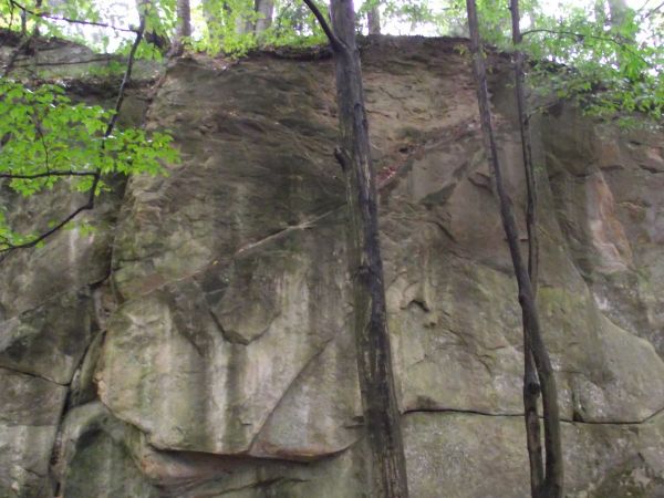 jak się wpatrzy, to się ... - między drzewami, na 2/3 wysokości skalnej ściany.
