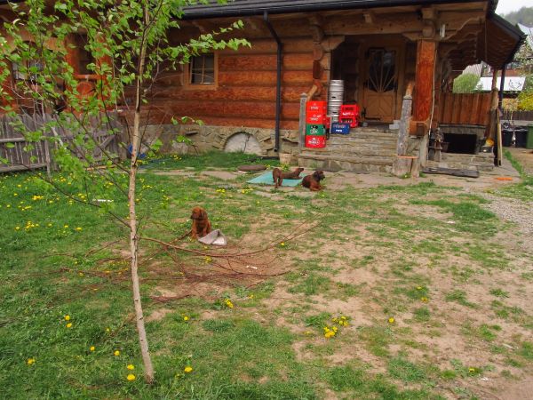 Spacerkiem Nad Grajcarkiem