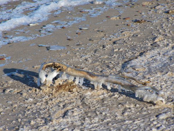 Pobierowo-Borowiak-impresje-zapraszamy na wypoczynek!!!