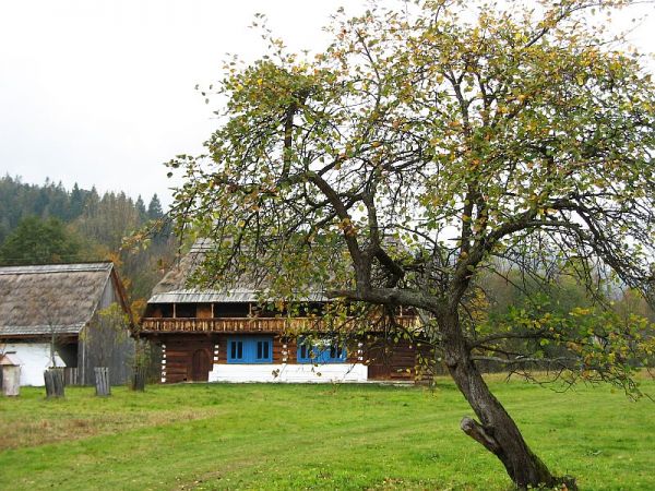 zdjecie Zubrzyca Górna