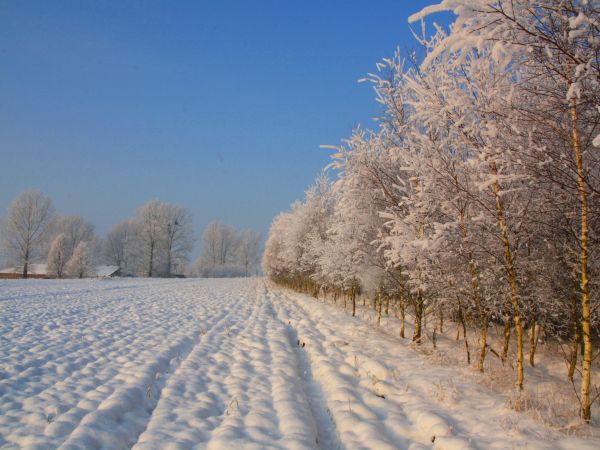 zdjecie Tyniewicze Duże