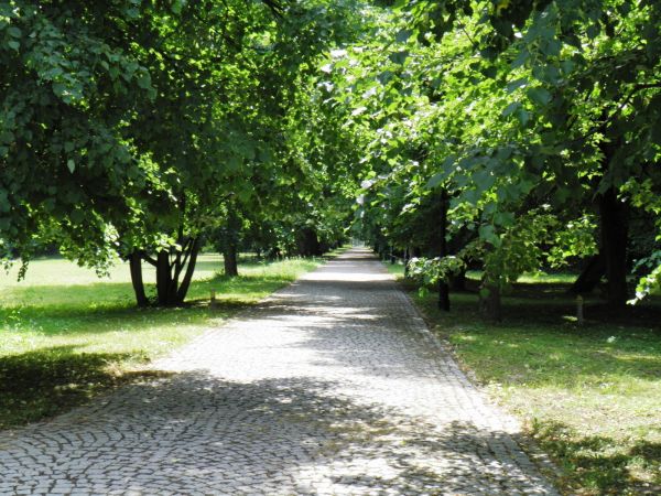 Park wokół Pałacu - fragment