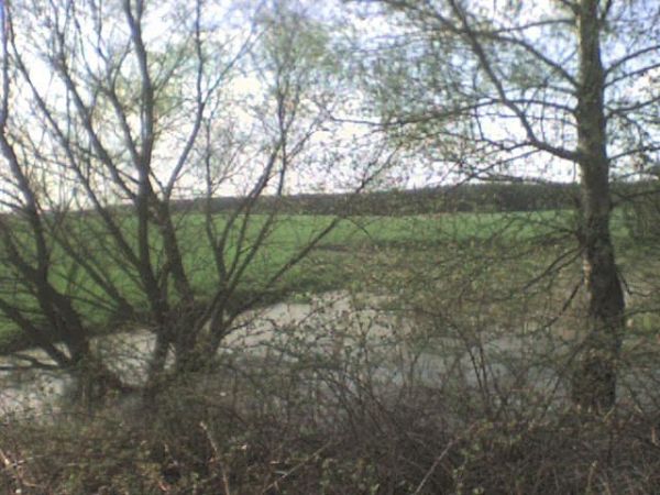 Cudze chwalicie, swego nie znacie. Sami nie wiecie co posiadacie..