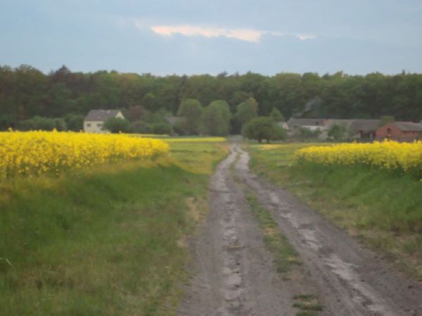 zdjecie Marianka Siemieńska