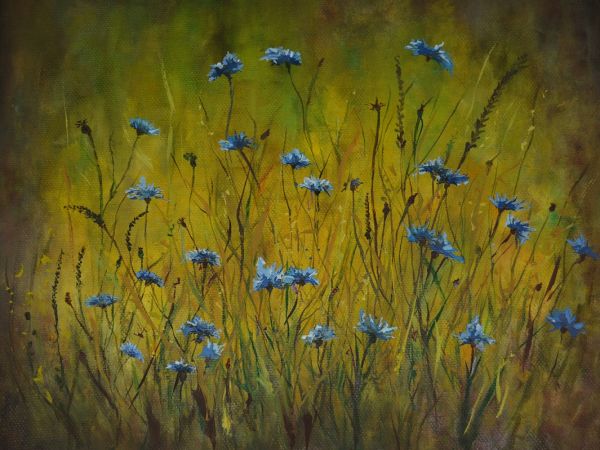 polskie laki   obraz olejny elzbieta maluch miechowicz