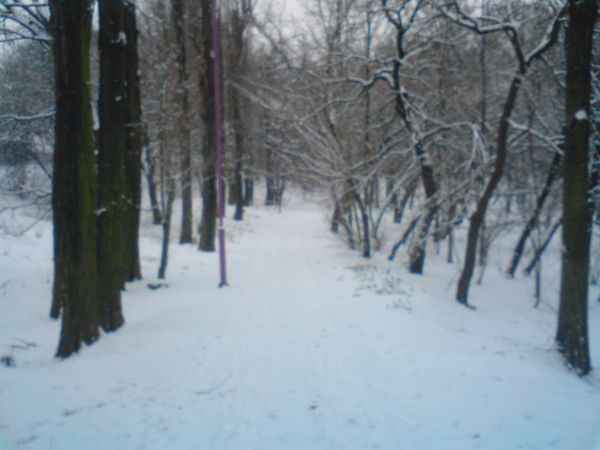 zdjecie Czeladź