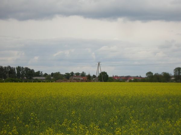 zdjecie Sulechów