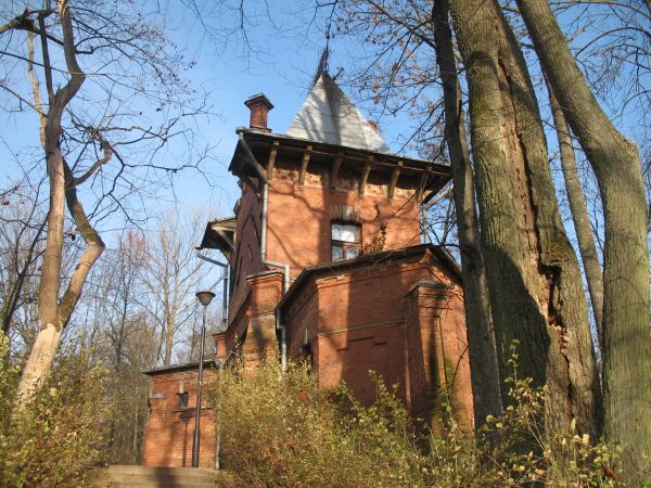 zdjecie Białowieża