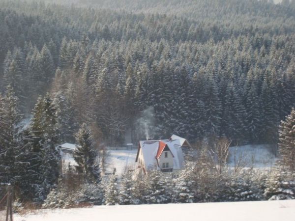 Widok zima dw leśny