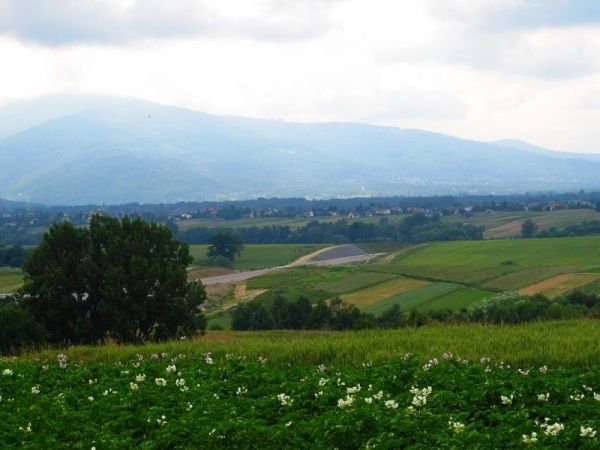 zdjecie Pietrzykowice