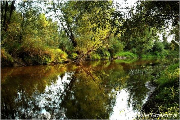 Zdjęcia Chotcza-Józefów