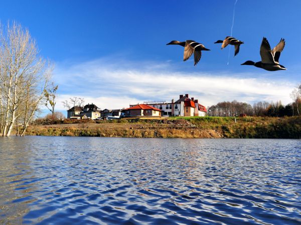 Gościniec Wodzisławski