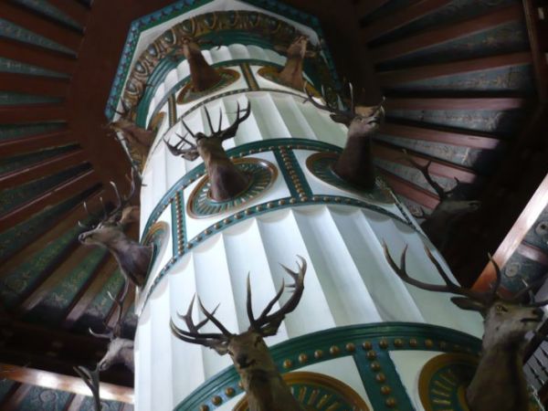 Spojrzenie na strop,filar podtrzymujący i trofea myśliwskie.
