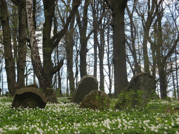 Żydowskie stele nagrobne zw. macewami zdobią bogate płaskorzeźby, tzw. przedstawienia. Spoczywają obok siebie sławni Żydzi, wielcy rabini i prości kramarze. Kir