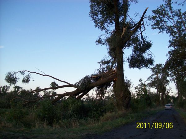 Potężne drzewa połamane jak zapałki.