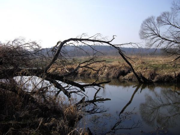 zdjecie Joachimów-Mogiły