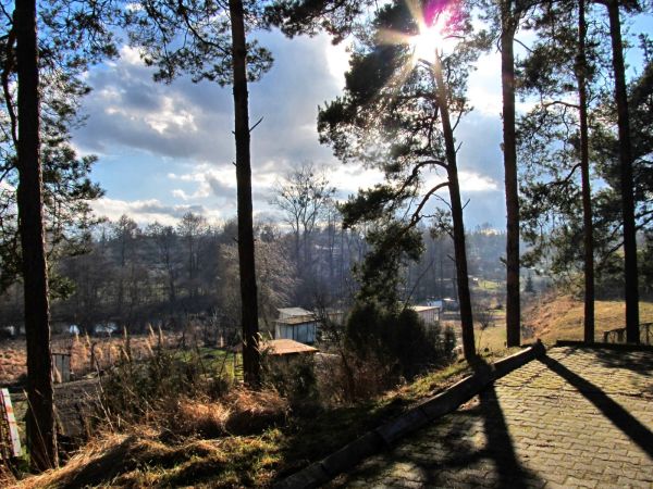 Widok na ogródki działkowe "Malina" położone nad rzeką Wdą przy ulicach Mickiewicza i Mostowej