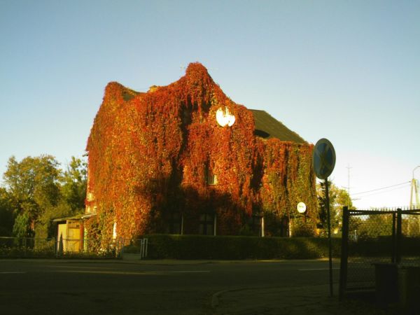 W barwach jesieni.ul. Gdańska.