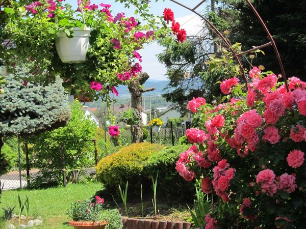 zdjecie Pietrzykowice