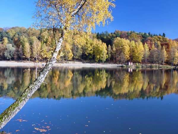 zdjecie Wodzisław Śląski