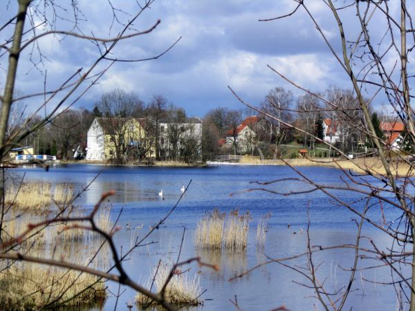 Pilec-widok na Pilecki Staw z drogi na Mrągowo.Po drugiej stronie Pileckiego Stawu znajduje się budynek dawnego młyna zbożowego.04-04-2015