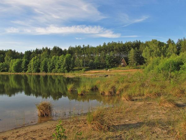 Nad jeziorem Gogolinek w Czarnym - ośrodek wczasowy