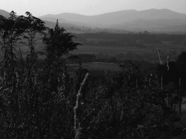 Strzyżowskie krajobrazy.