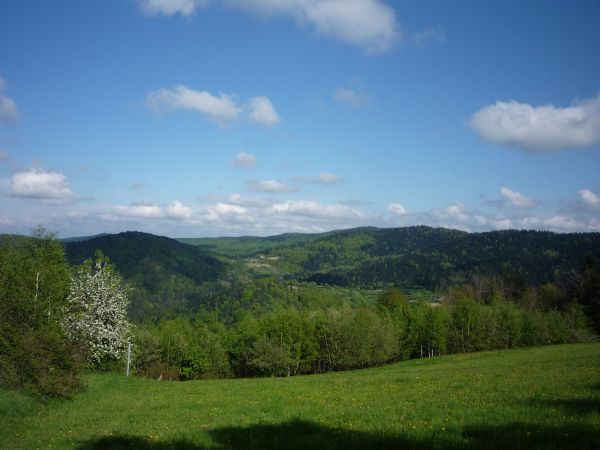Panorama górnej części Harbutowic ze szczytu Krowiej Góry.
