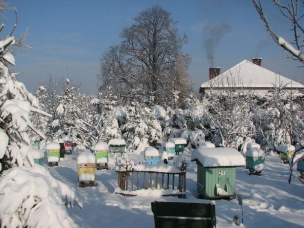 Pasieka "MIÓD" FRYDRYCHOWICE