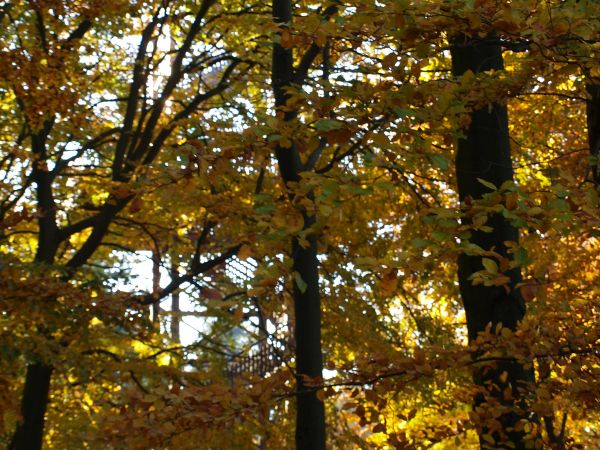 WIEŻA WIDOKOWA-20.10.2012r.