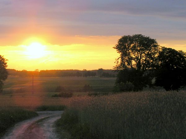 Zachody słońca są w Śliwicach wyjątkowe.