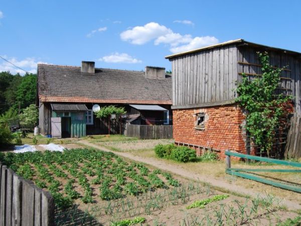 Wygon - dom przy tartaku