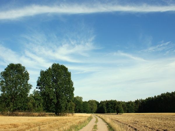 Na wiejską wycieczkę